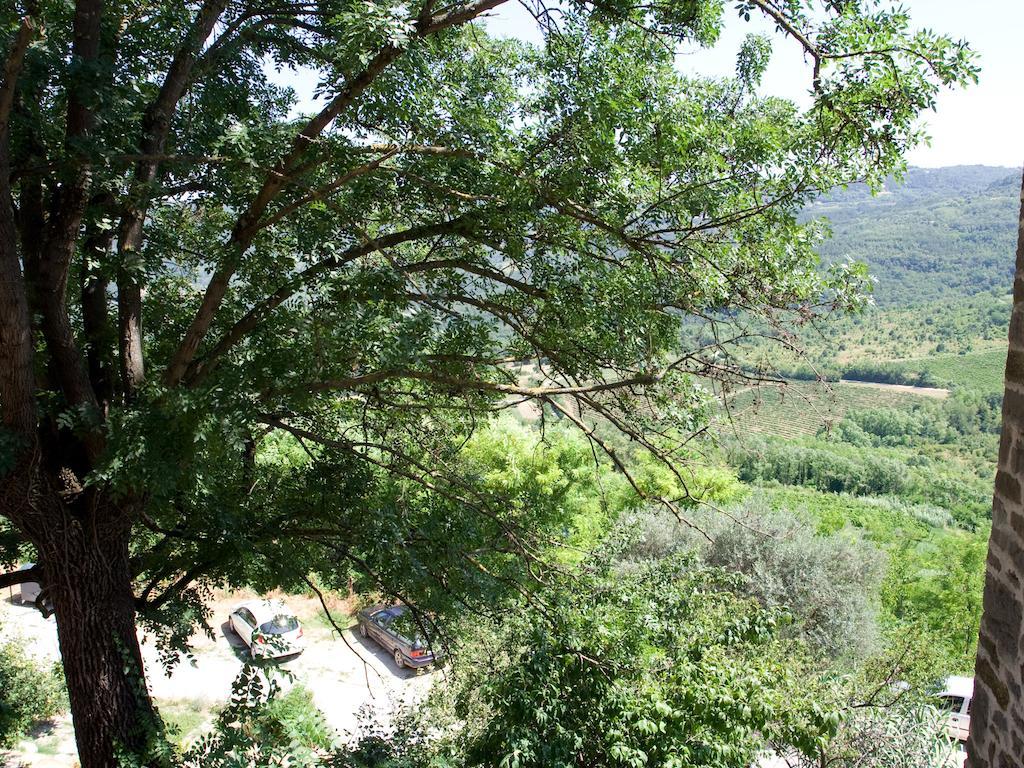 Casetta Melon Motovun Habitación foto